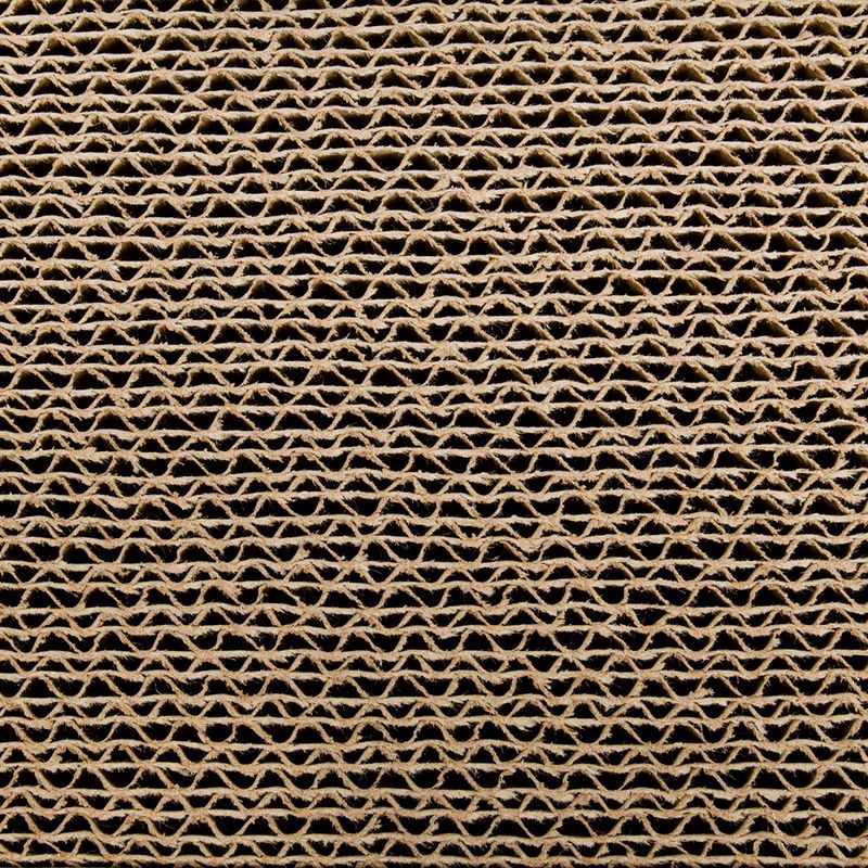 CanadianCat Company Cat Playground PlayPlate L 65 x W 35 x H 5.8 cm