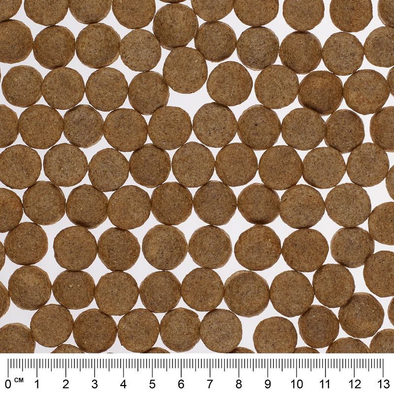 Greenwoods Economy Pack 2 x 12kg Turkey with Sweet Potatoes, Peas & Pumpkin