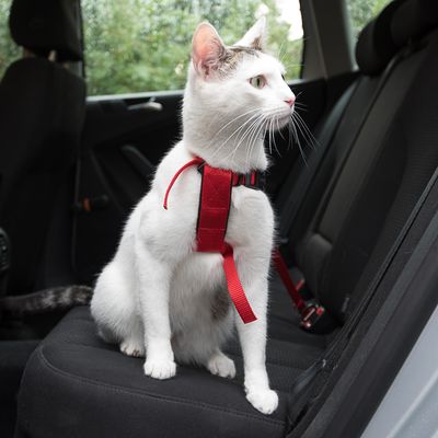 Trixie Cat Car Harness Red