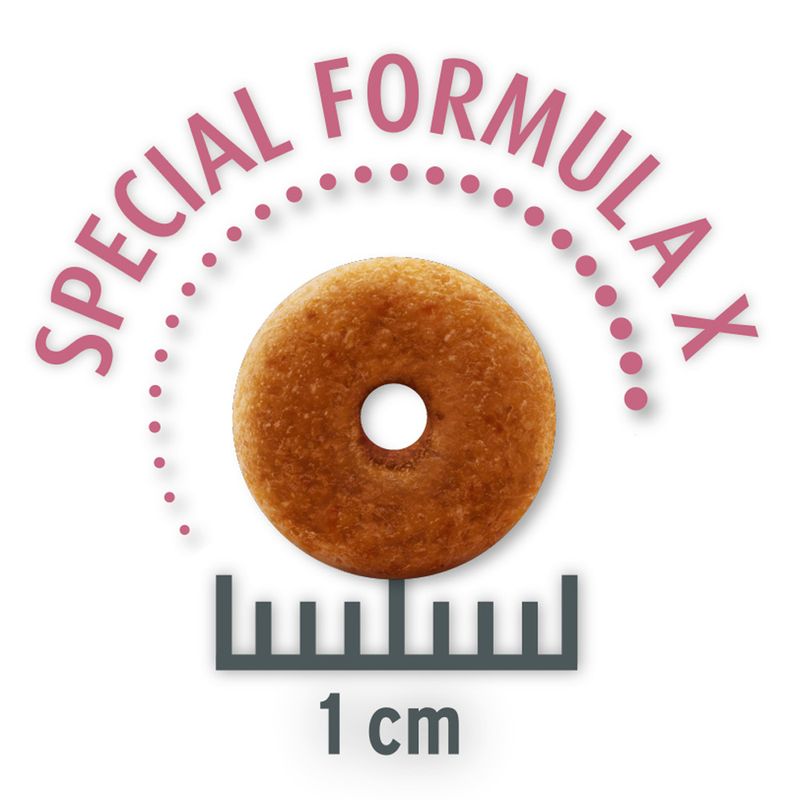 Concept for Life Economy Packs Sterilised Cats - Salmon (2 x 10 kg)