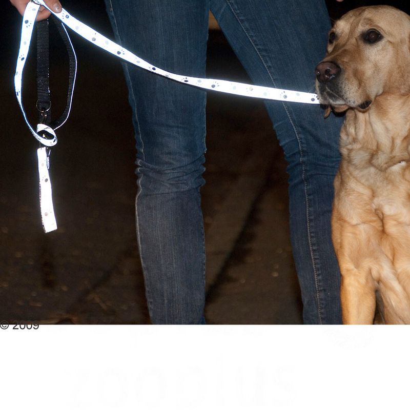 Trixie Reflective Dog Lead - Silver 200cm