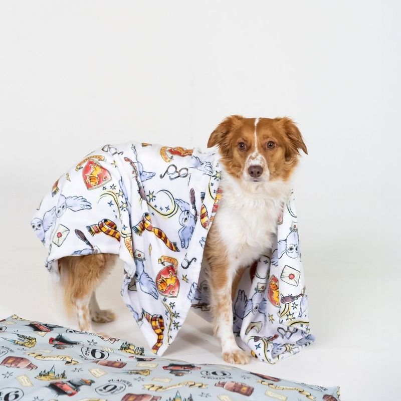 Warner Bros™ Harry Potter Hedwig Pet Blanket 100 x 70 cm (L x W)