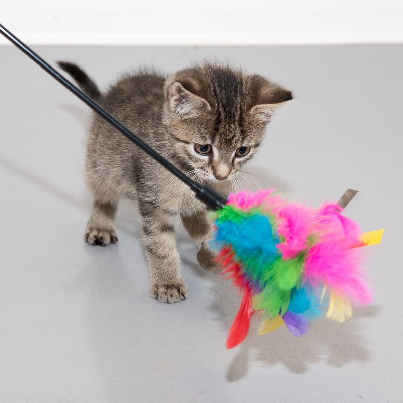 Feather Waggler Cat Toy 55cm