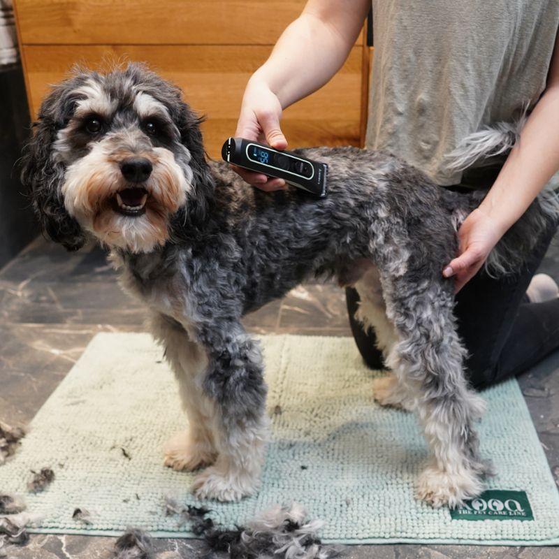 kooa GEAR 3S Battery-Operated Clippers Complete Set