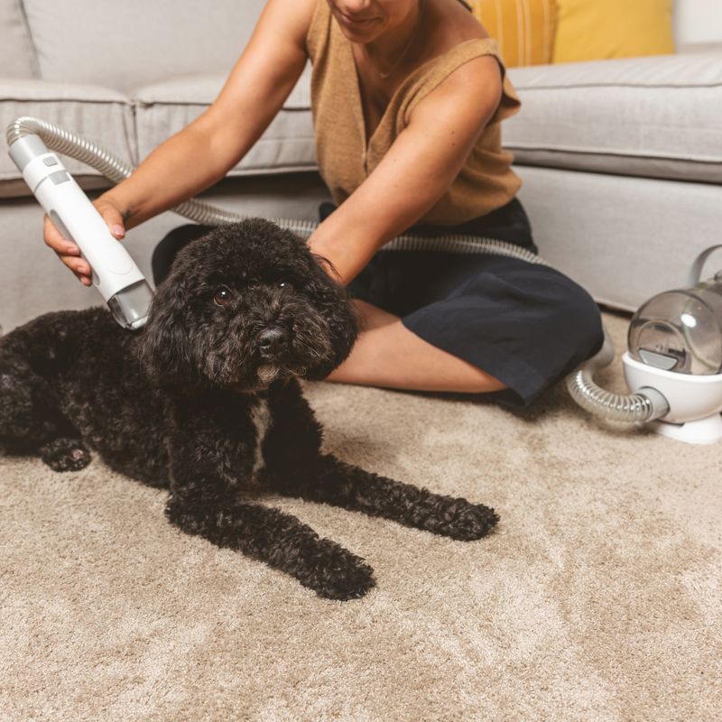 kooa Clippers & Grooming Set for Pets Complete Set