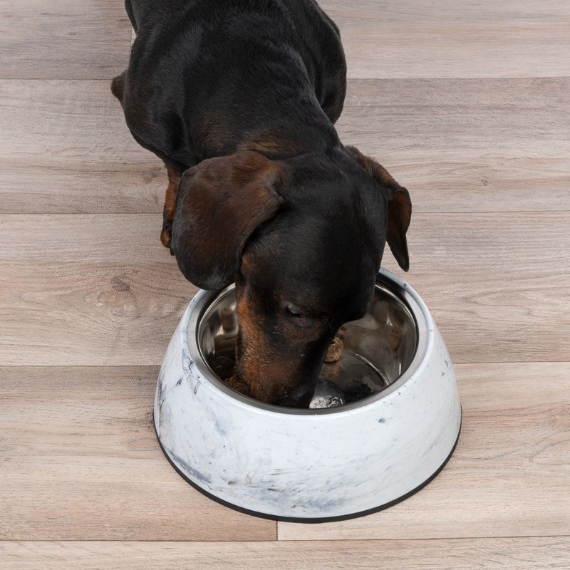 Modern Living Athens Dog Bowl 850ml