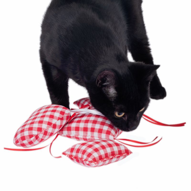 TIAKI Vichy Catnip Pillow 4-piece set