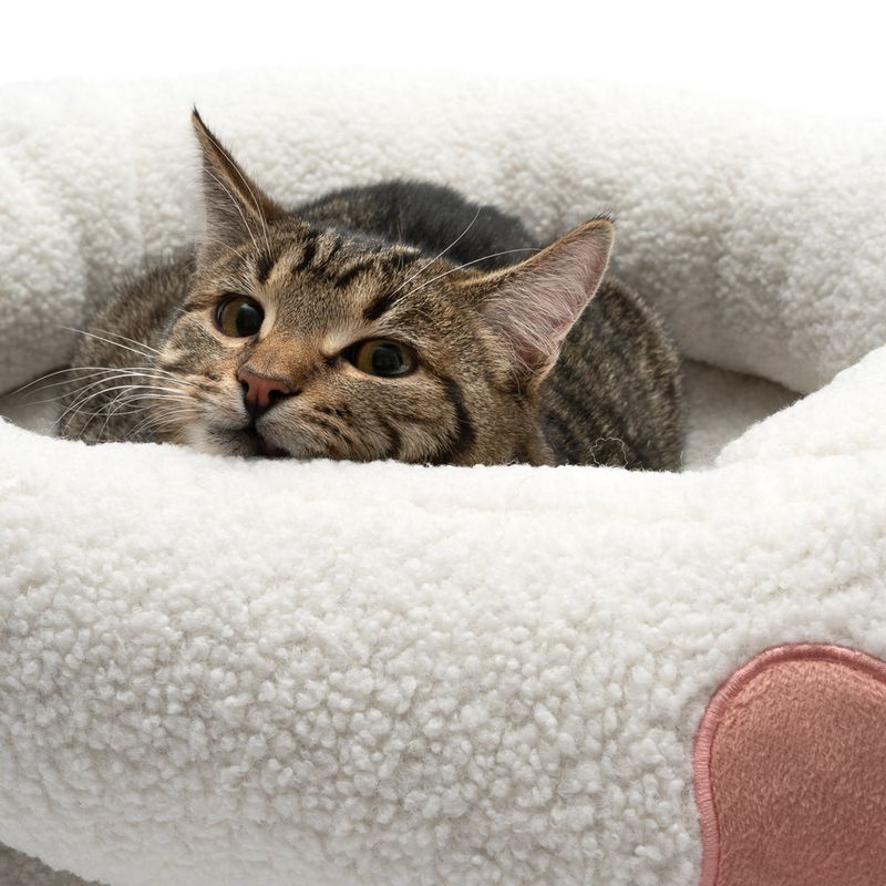 TIAKI Paw Snuggle Bed 62 x 50 x 20cm (L x W x H)