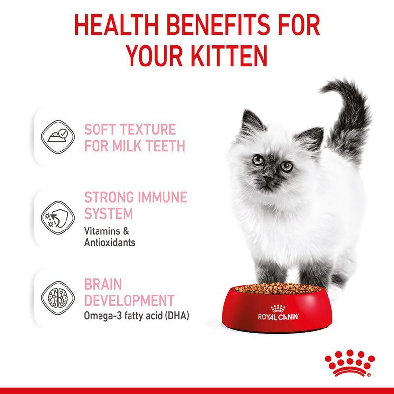 Royal Canin Kitten in Gravy 12 x 85g