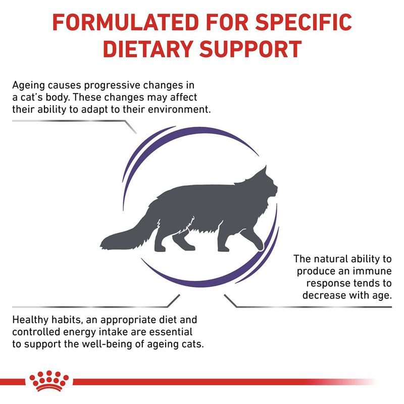 Royal Canin Expert Feline - Mature Consult 10kg