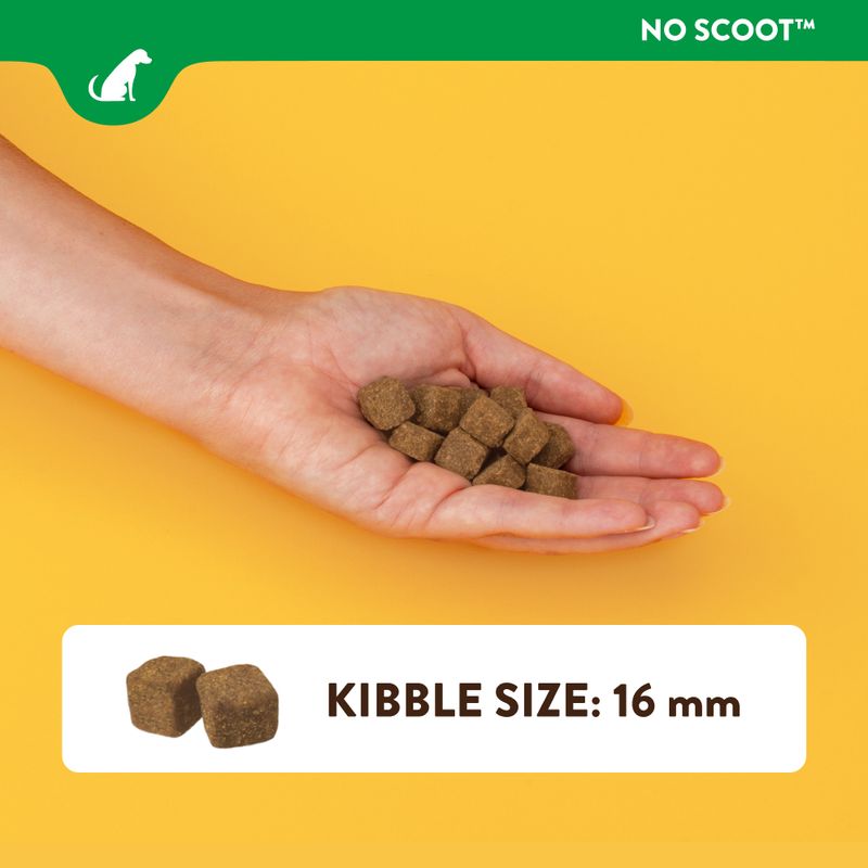 NaturVet No Scoot 60 Chew Cubes