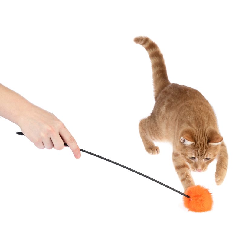 zooplus Basics feather duster pompom 1 Toy