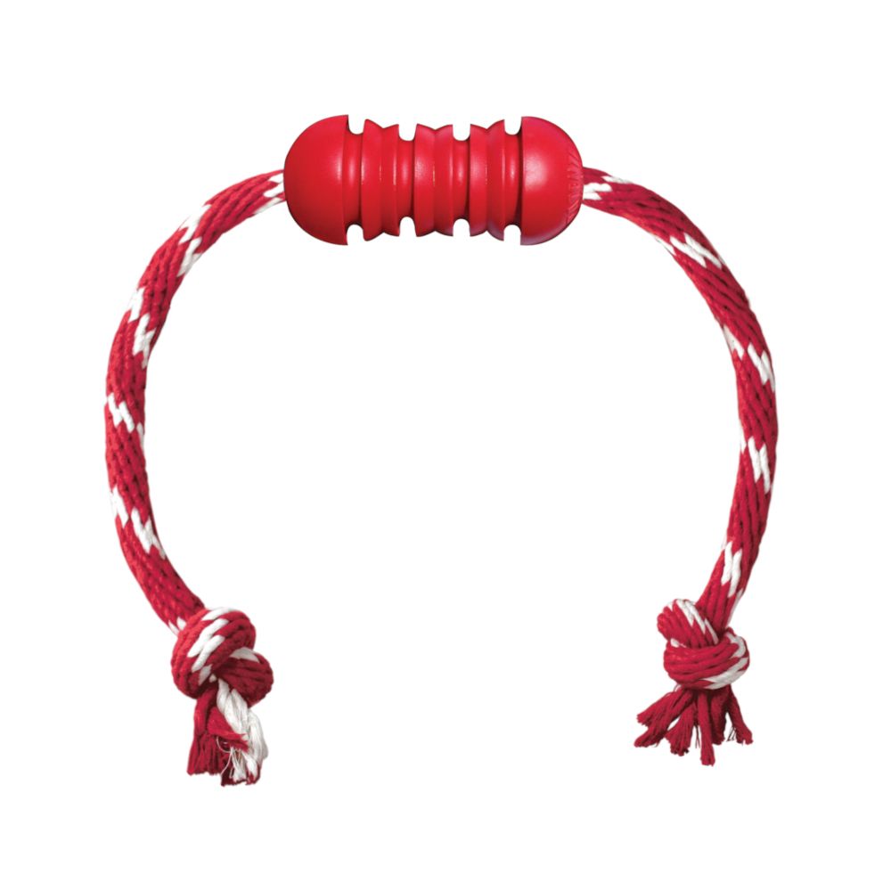 KONG Dental Dog Toy with Rope Size S: Approx. 49 x 3.7cm (L x W)