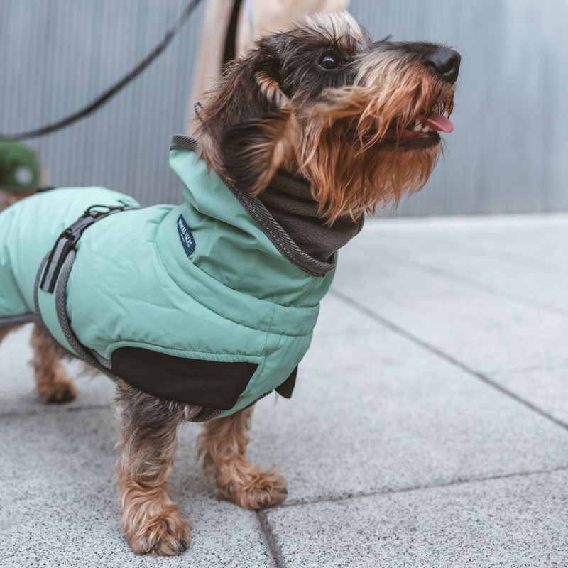 Nomad Tales Bloom Dog Coat - Granite approx. 35cm Back Length