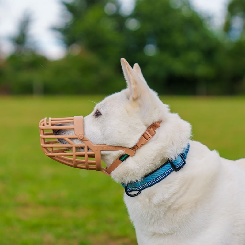 Baskerville Classic Muzzle — Beige Size 5