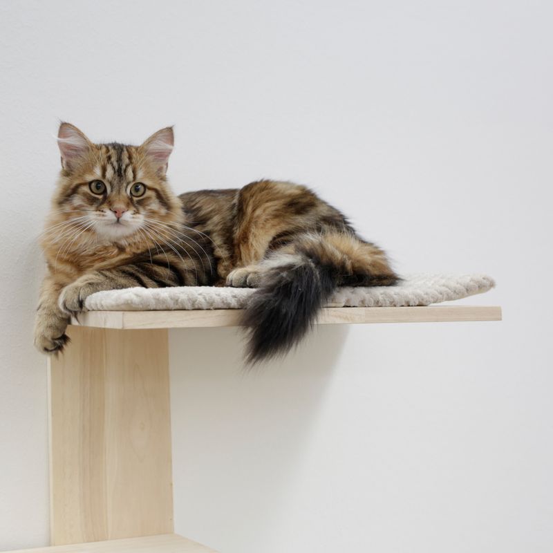 Kerbl Pet Timber Wall Scratching Post for Cats Natural / Grey