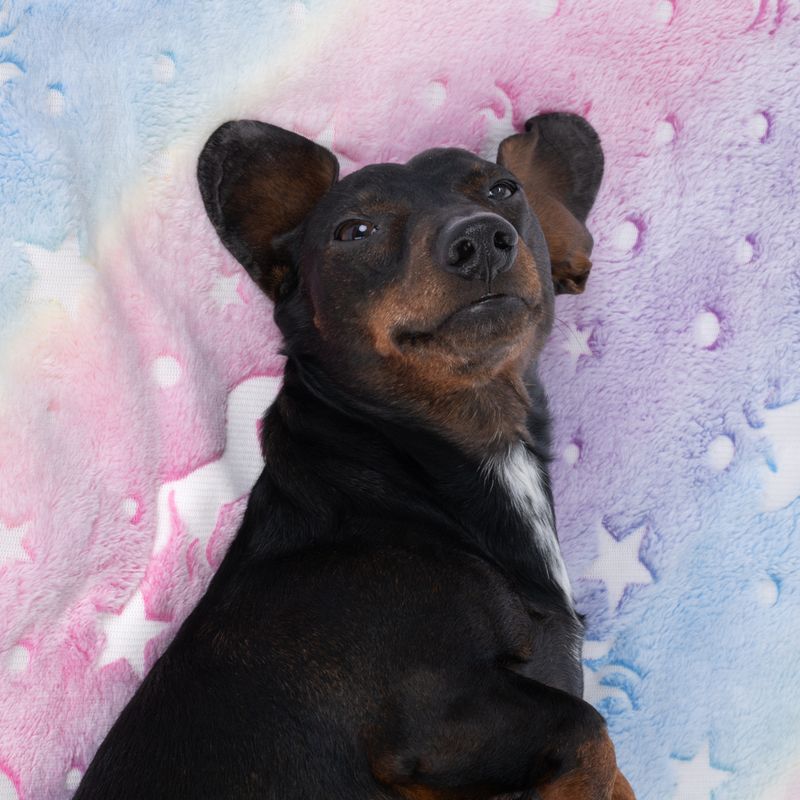 TIAKI Glowing Unicorns Cosy Blanket 100 x 70 cm (L x W)