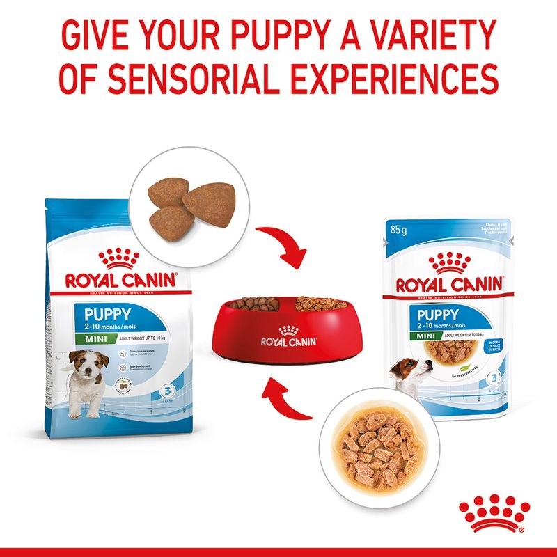 Royal Canin Mini Puppy in Gravy 12 x 85g