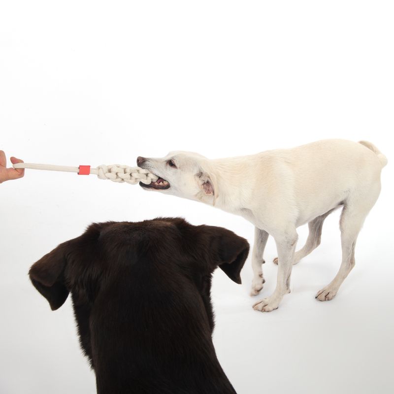 TIAKI Dog Toy Rope Stick L 36.5 x Ø 5.5 cm