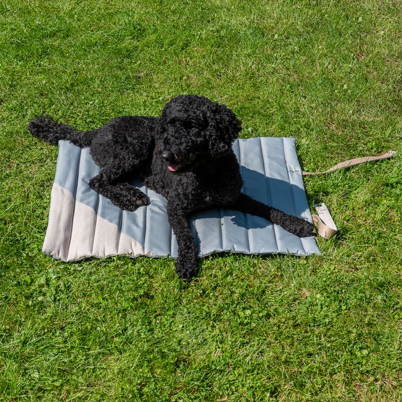 Nomad Tales Calma Stone Travel Dog Mat 80 x 60 cm (L x W)