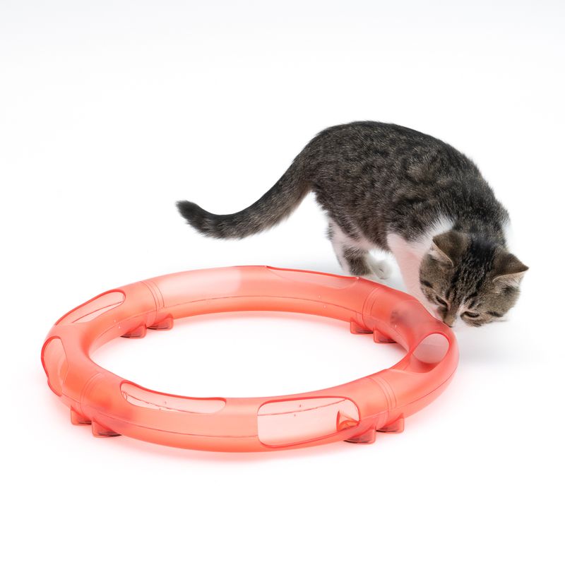 TIAKI Roundabout Ball Track for Cats 1 Toy