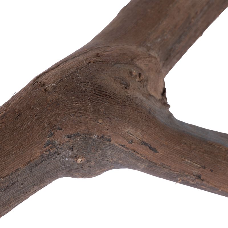 TIAKI Y-Shaped Vine Perch Size M: approx. 2.5 x 25cm (diameter x L)