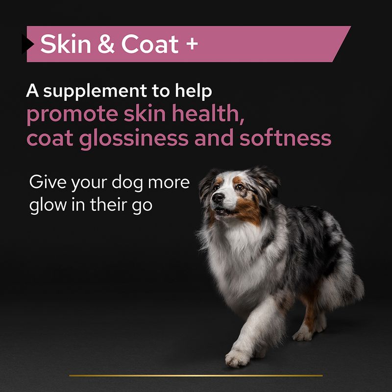 PRO PLAN Skin & Coat Dog Supplement Oil 250ml