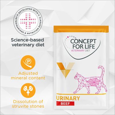 Concept for Life Veterinary Diet Urinary - Beef 12 x 85g
