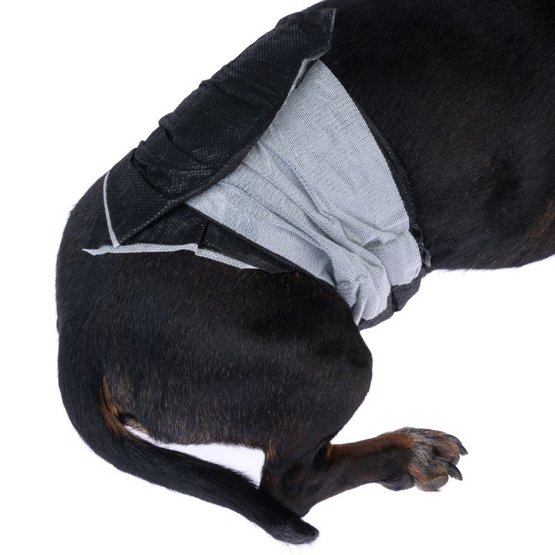 kooa Male Diapers with Bamboo Size XS: 20 - 26 cm, 12 Nappies