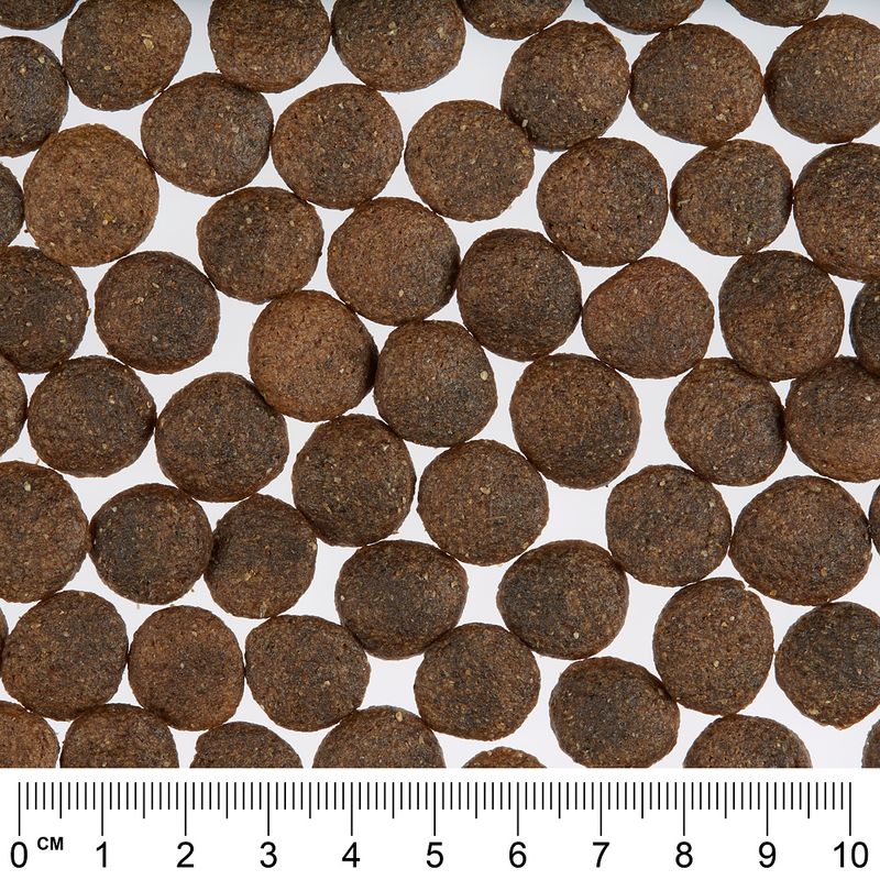 Greenwoods Economy Pack 2 x 12kg Turkey with Sweet Potatoes, Peas & Pumpkin