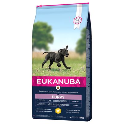 Eukanuba Puppy Large Breed Chicken 15kg