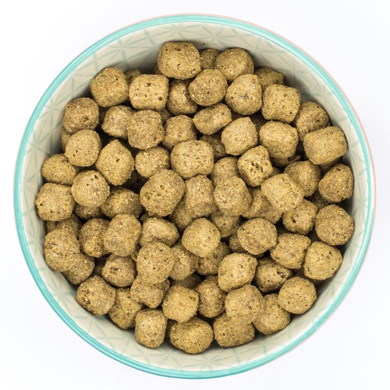 Burns Adult & Senior Sensitive - Chicken & Wholegrain Maize 6kg