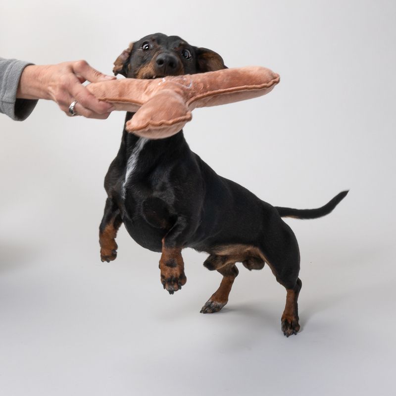 Nomad Tales Blush Plush Boomerang Dark Green