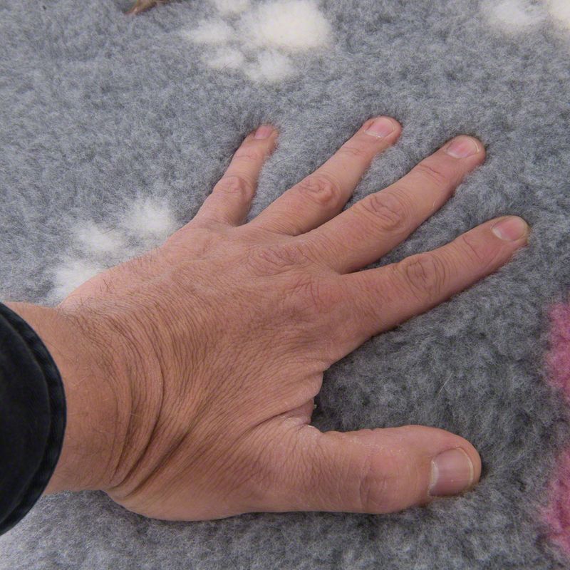Vetbed® Isobed SL grey with hearts and paws 75 x 50 cm (L x W)