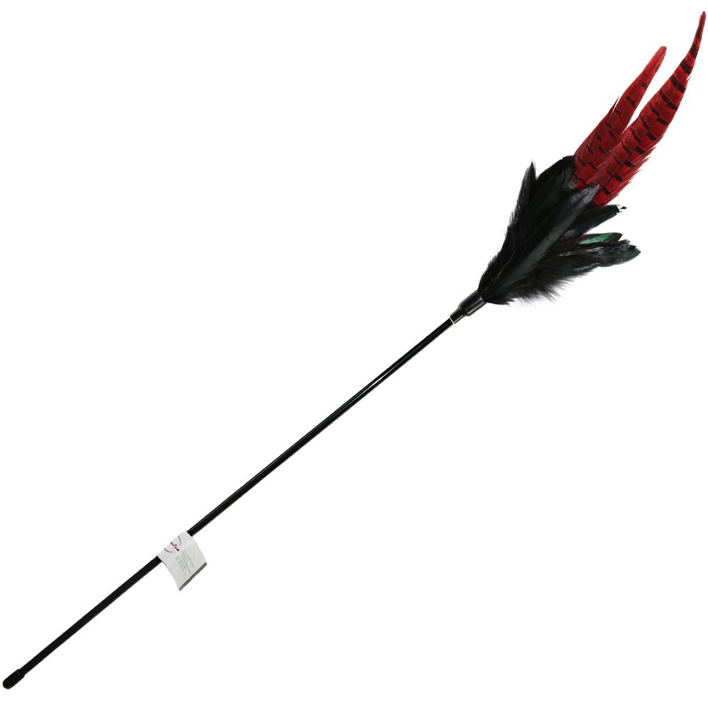 Mystic Long Feather Cat Pole 1 Cat Dangler