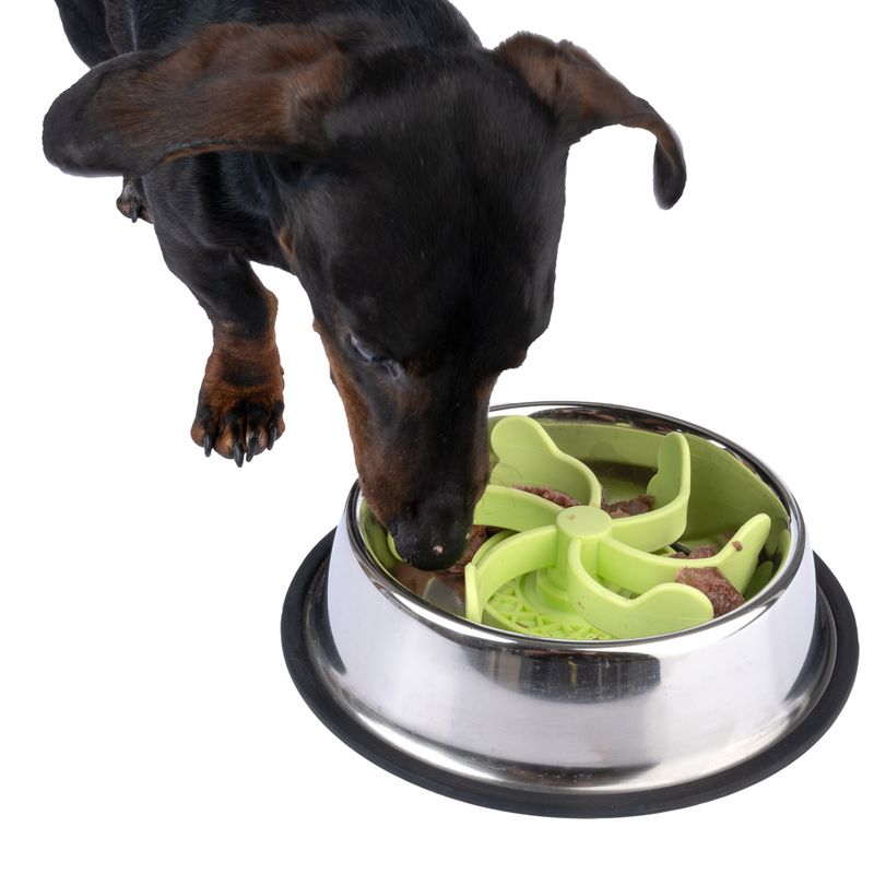 TIAKI Molino Slow Feeder Accessory diameter 17.6 x (H) 5.2 cm