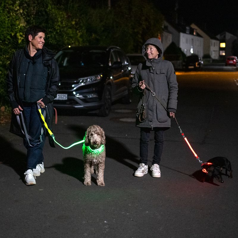 Nomad Tales Spirit USB LED Jogging Lead - Neon Yellow & Grey 180 - 250 cm Length, 25mm Width