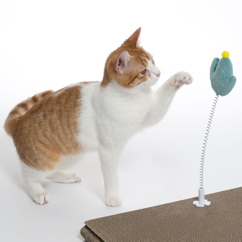 TIAKI Nature Cactus with Spring 1 Toy