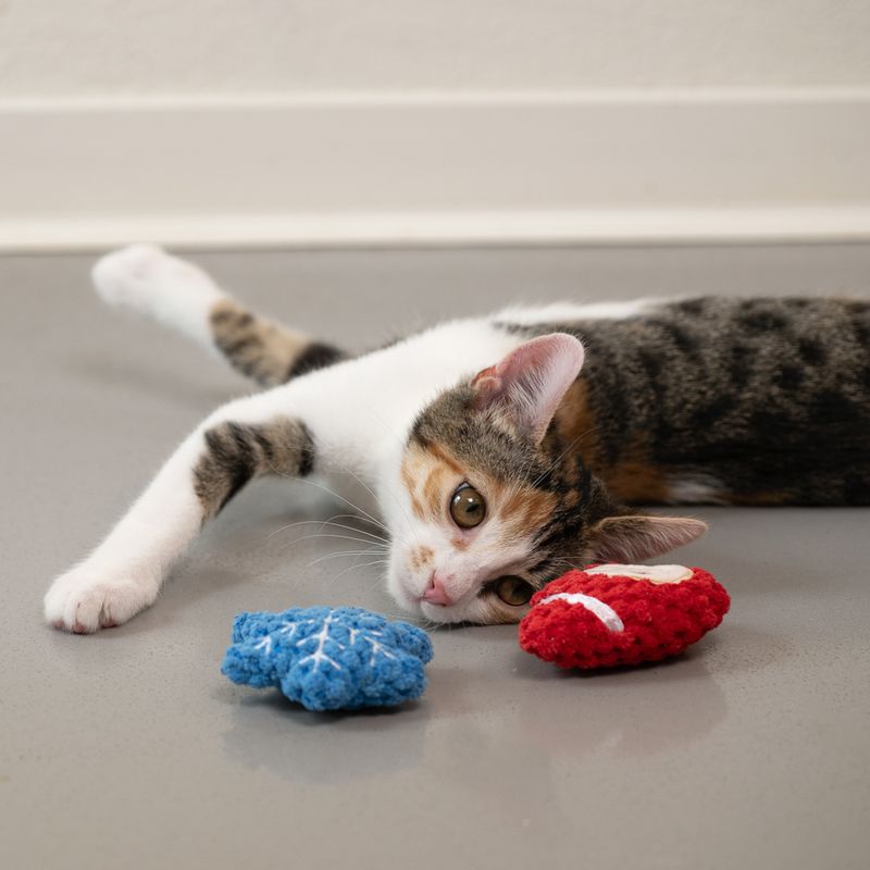 TIAKI Xmas Cat Toy Set Set of 4 Toys