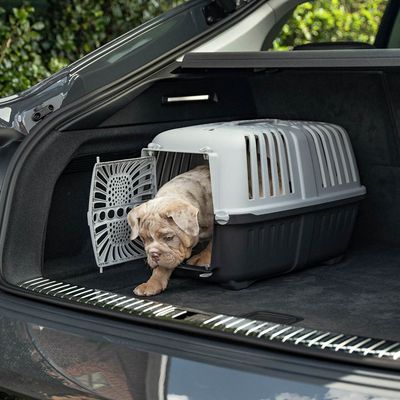 Lionto Transport Box Made of Plastic - Anthracite 31.5 x 48 x 33cm (W x L x H)