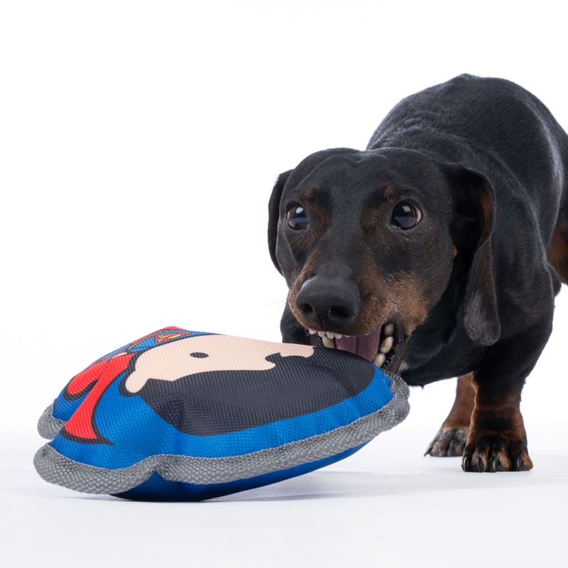 Warner Bros™ DC Superman Squeaky Dog Toy approx. 20 x 17 x 6 cm (L x W x H)