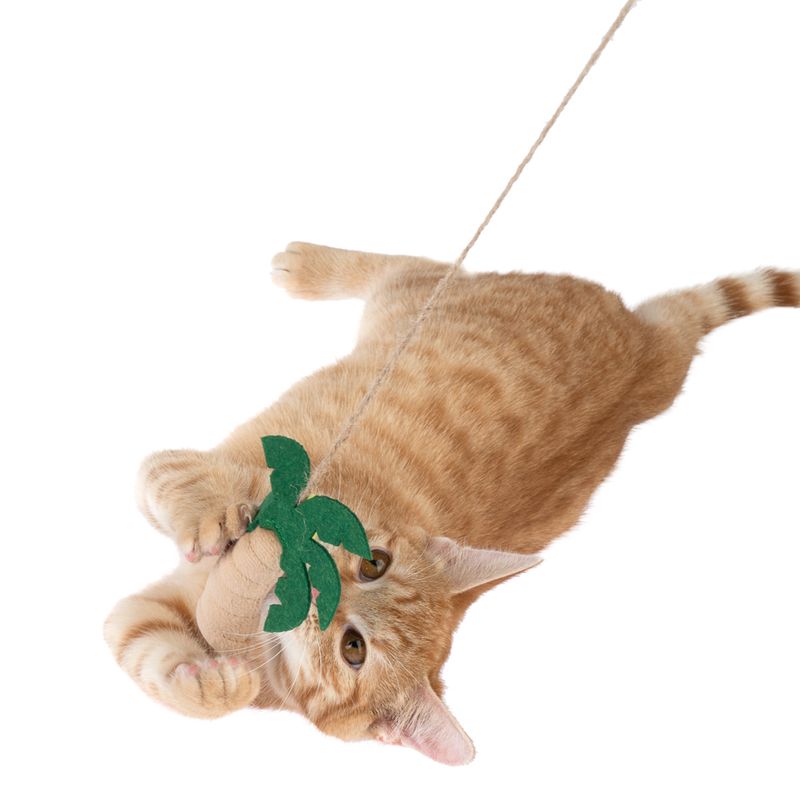 TIAKI Palm Frond Cat Dangler Toy 1 Dangler