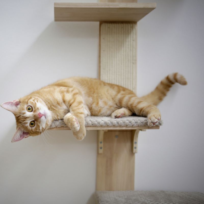 Kerbl Pet Timber Wall Scratching Post for Cats Natural / Grey