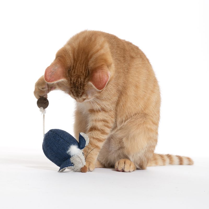 TIAKI Electronic Play Mouse for Cats 1 Toy