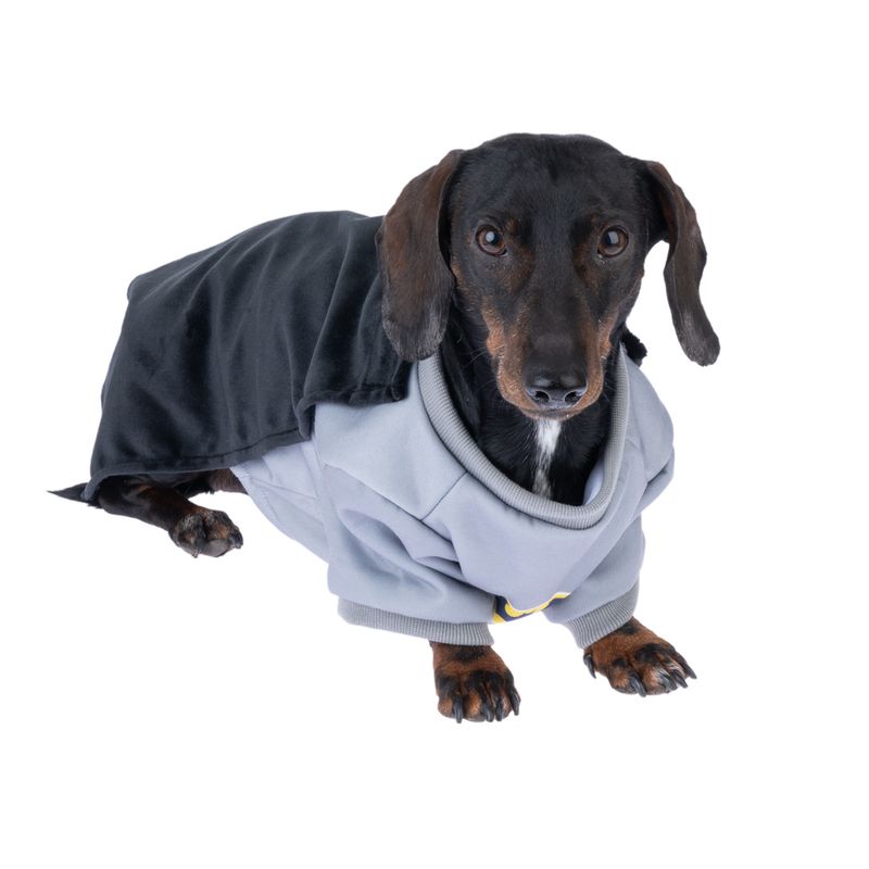 Warner Bros™ DC Batman Dog Costume Size S/M: 35cm Back Length