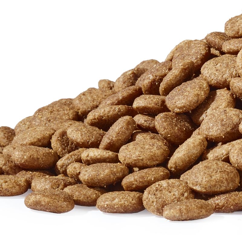 Dogs'n Tiger Senior Kitchen Hunter Chicken & Duck 1.5kg