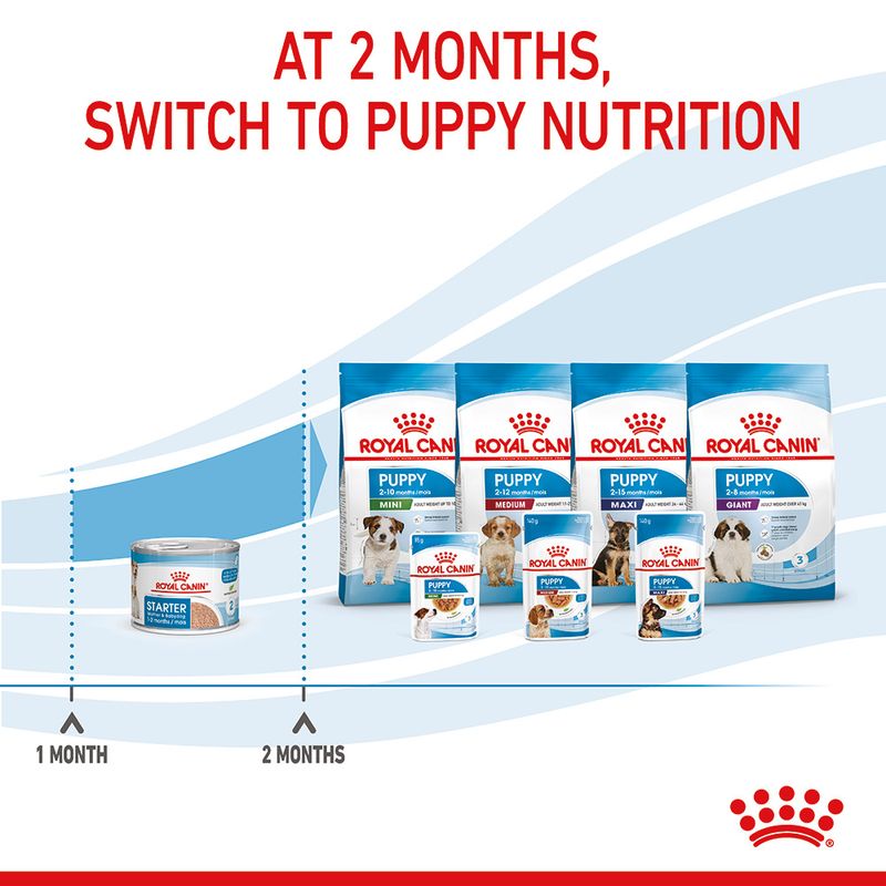 Royal Canin Starter Mousse Mother & Babydog 12 x 195g