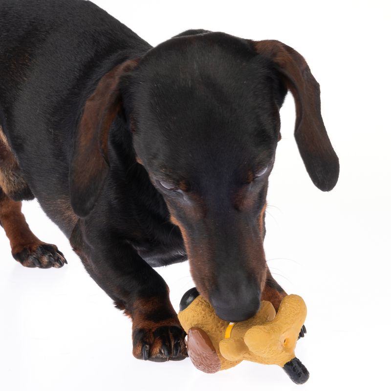 TIAKI Latex Dog Toy 5 x 5 x 8cm (L x W x H)