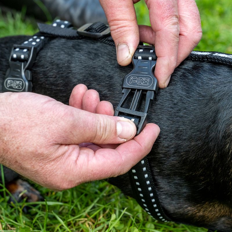 TIAKI Reflective Safety Harness Size S: 31 - 50cm Chest Circumference