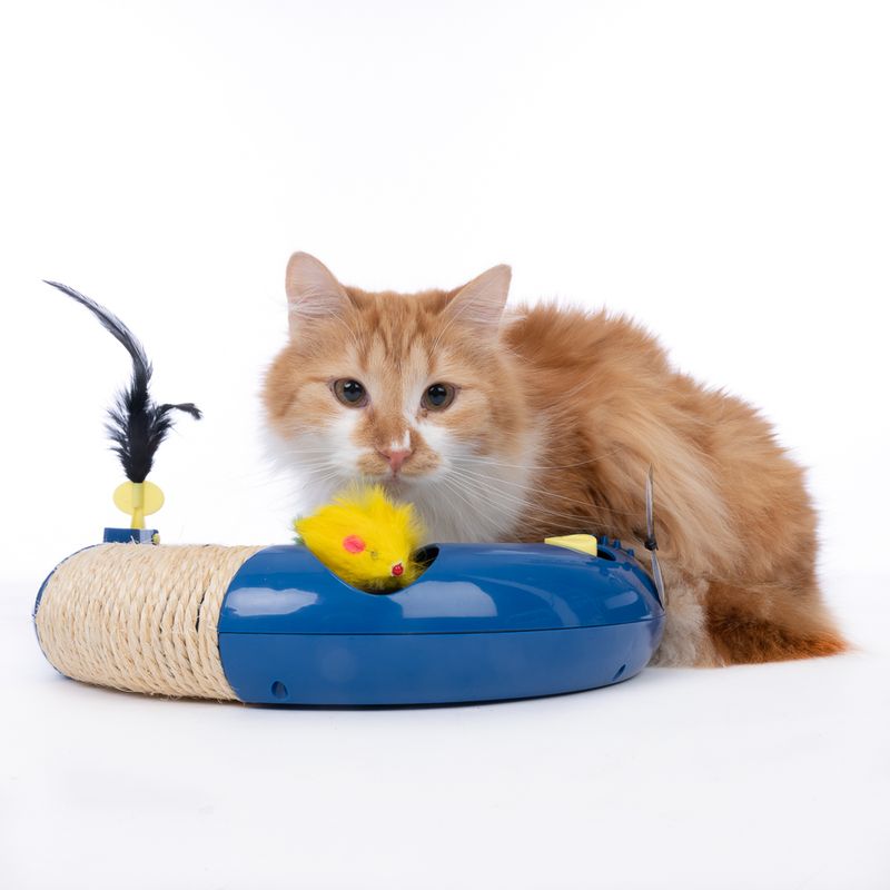 TIAKI Interactive Circuit Cat Toy 1 Toy